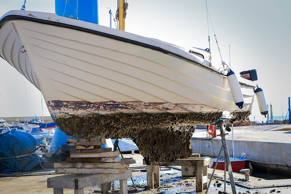 Boat Cleaning Tips from a Marine Surveyor